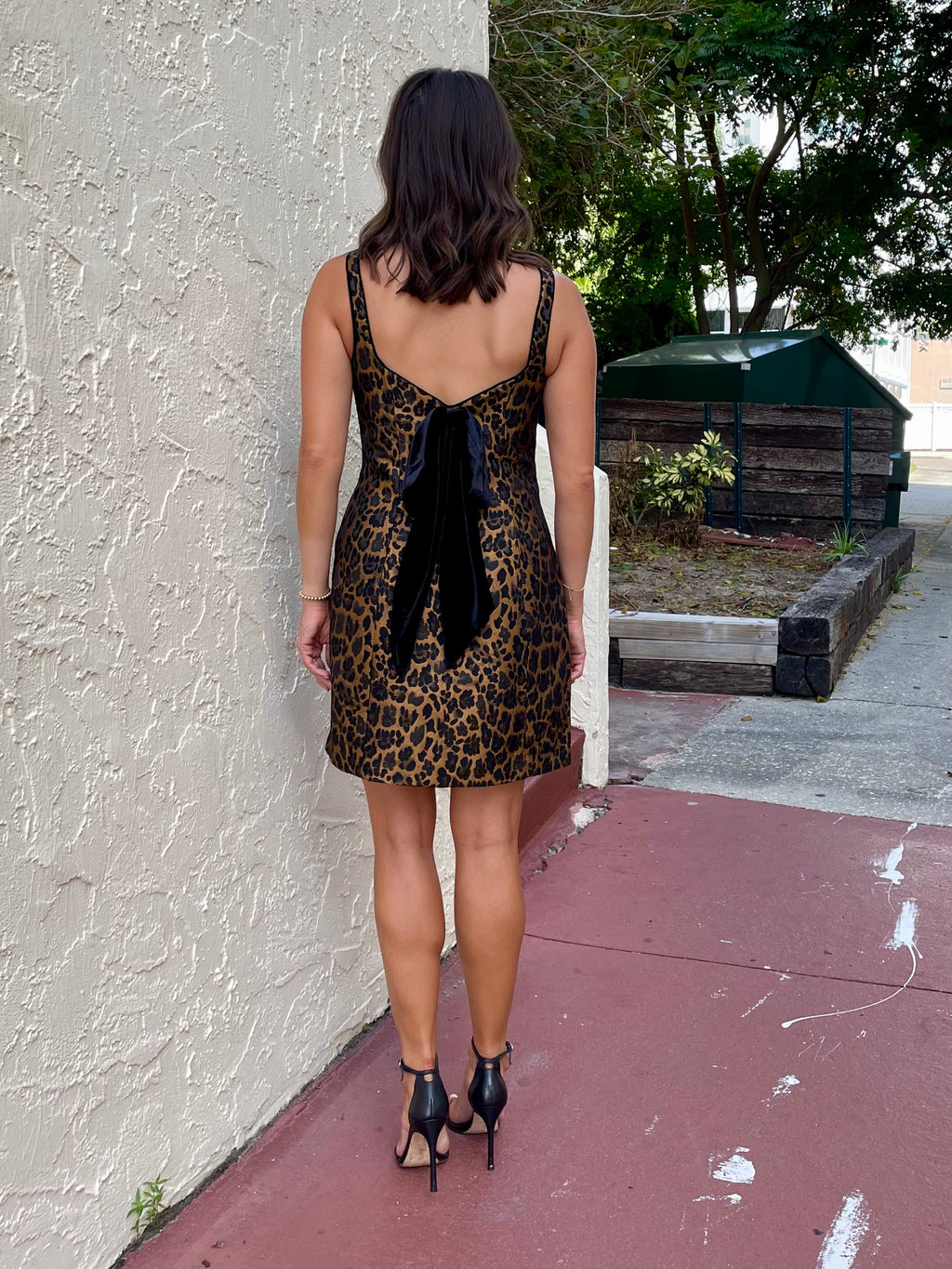 Randi Leopard Jacquard Mini Dress