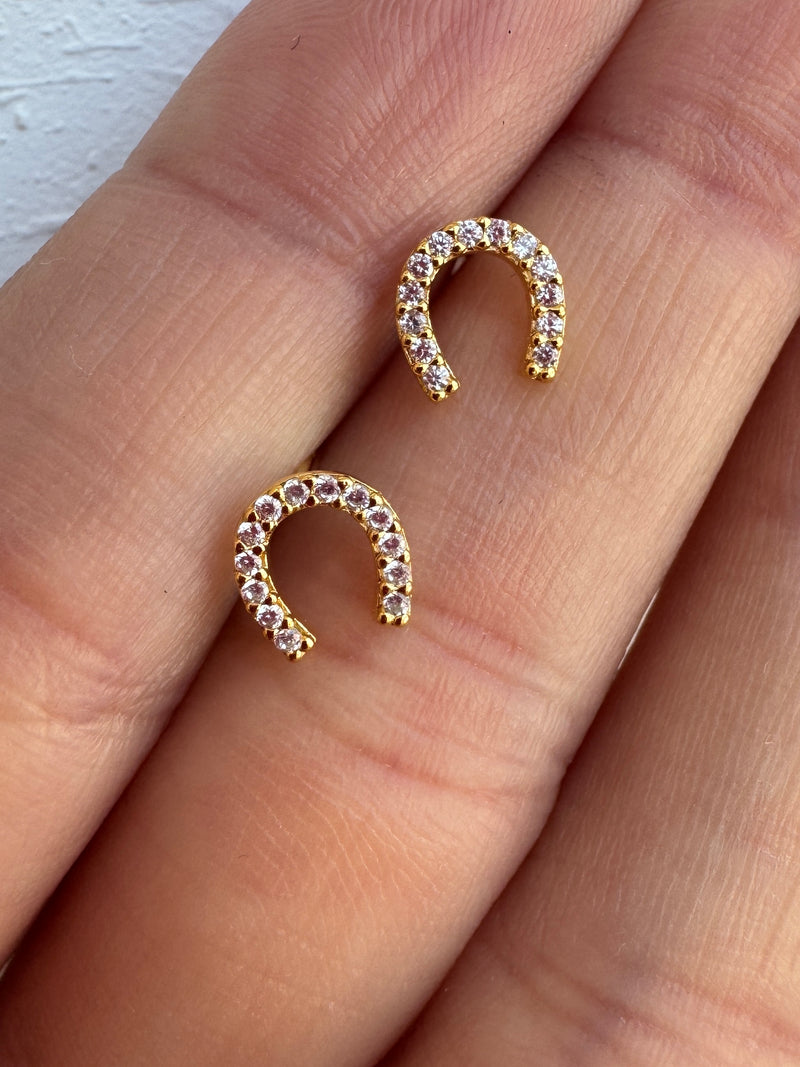 Horseshoe Earring