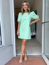 Puff Sleeve Mini Dress
